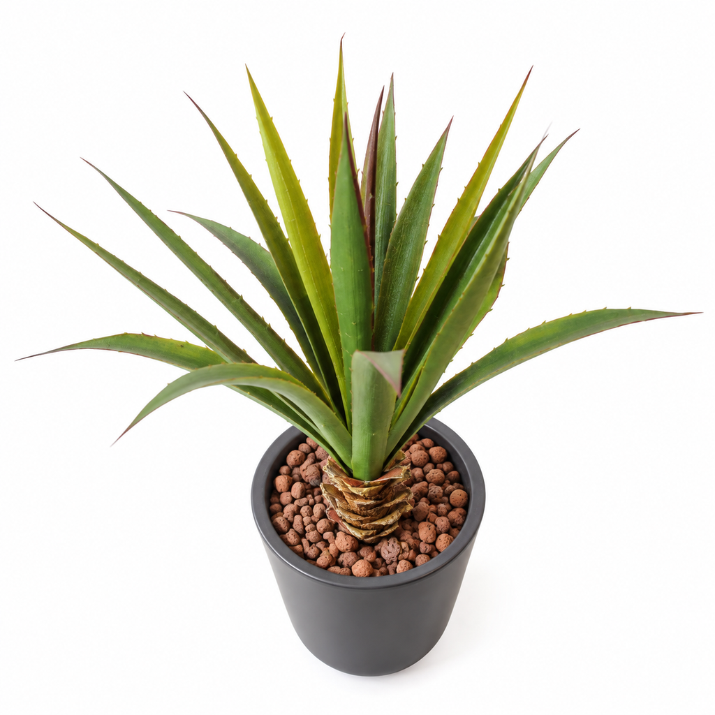 Plante artificielle Aloé Ferox Vert 45 cm | Belle Verdure