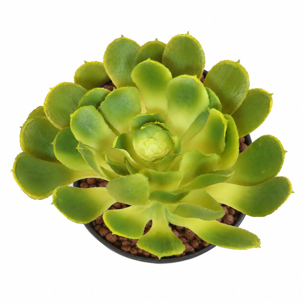 Plante artificielle Aloé Vert 18 cm | Belle Verdure