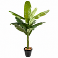 Bananier Artificiel Tropical 270 cm | Belle Verdure