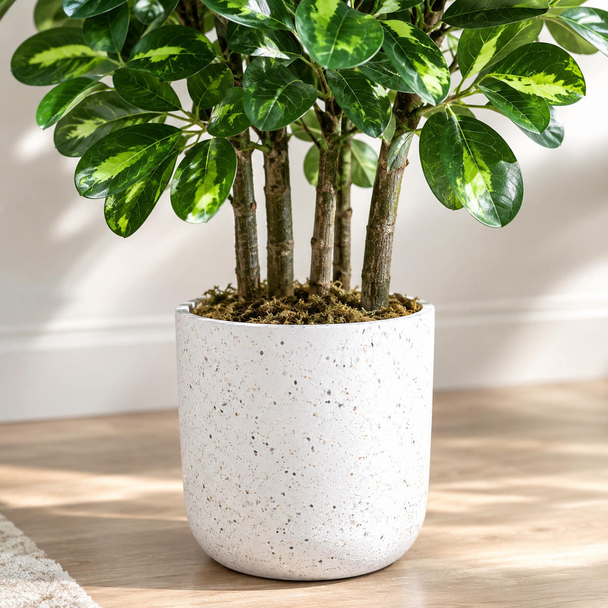 Colonne de Schefflera Artificiel 120cm