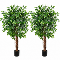 Ficus Artificiel (2 pièces)