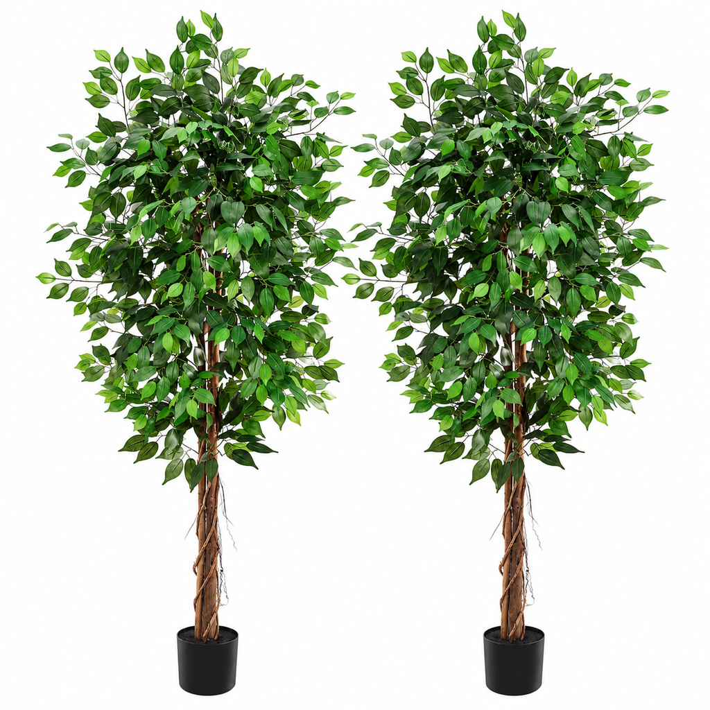Ficus Artificiel (2 pièces)