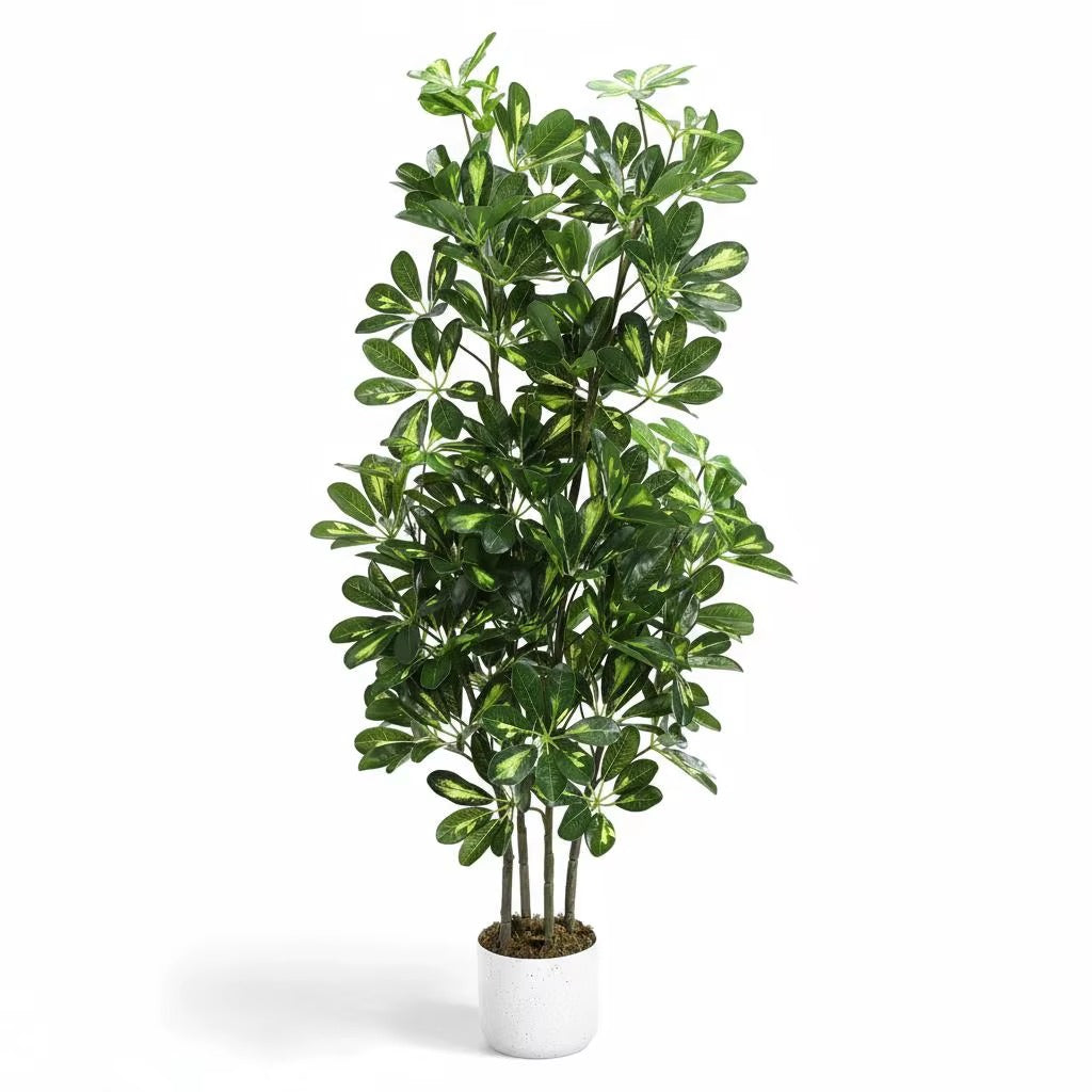 Colonne de Schefflera Artificiel 120cm