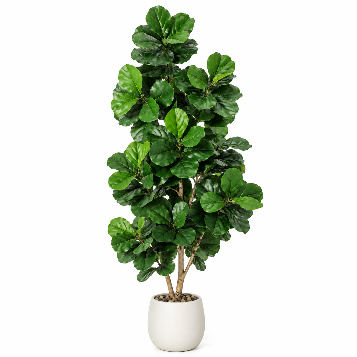 Ficus Lyrata Artificiel
