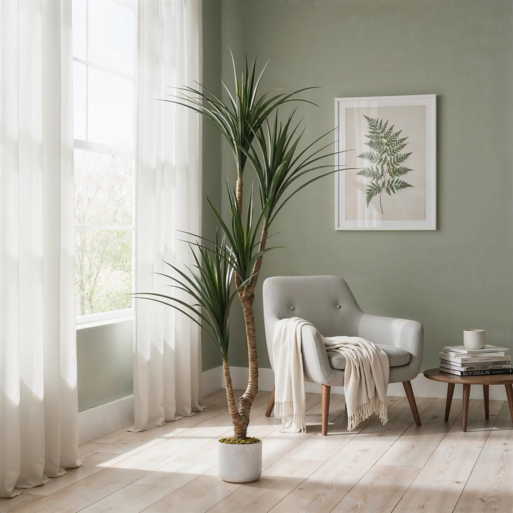 Dracaena Marginata Artificiel 165cm