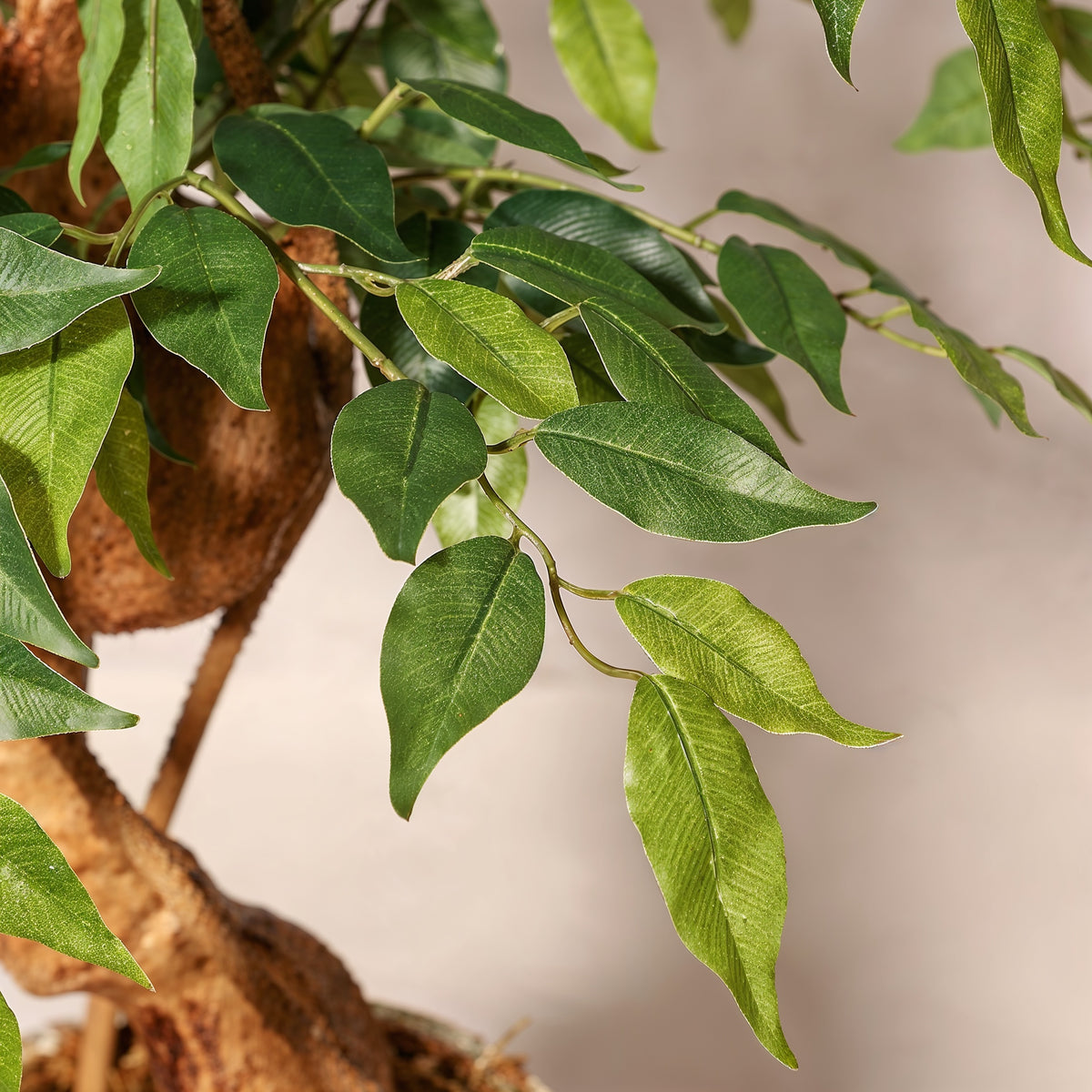 Ficus Tressé Artificiel
