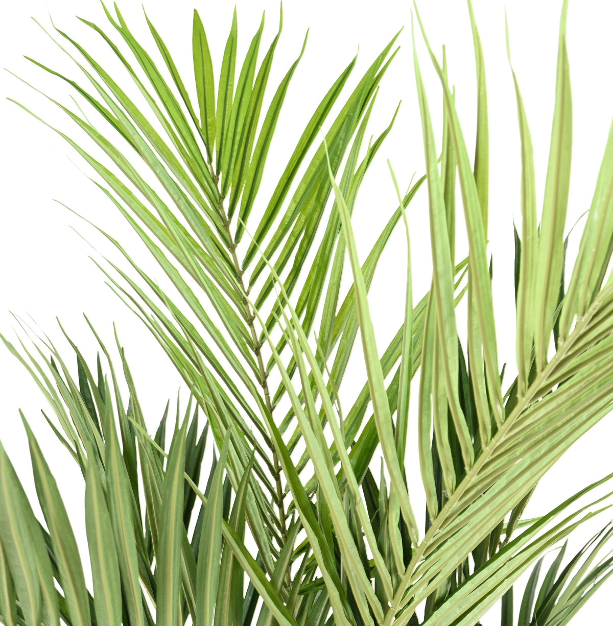 Palmier artificiel Kentia Royal 190 cm | Belle Verdure