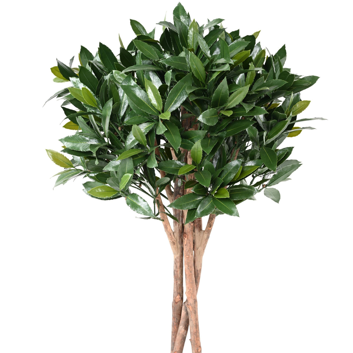 Laurier Nobilis Artificiel Boule sur Tige Anti-UV 130 cm | Belle Verdure