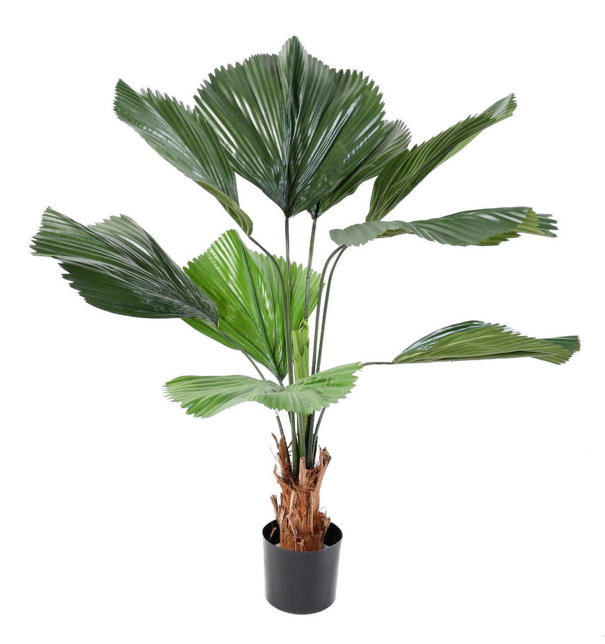 Licuala Grandis Artificiel 120 cm | Belle Verdure