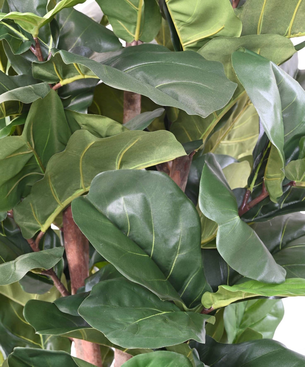 Ficus Artificiel Lyrata 210 cm | Belle Verdure
