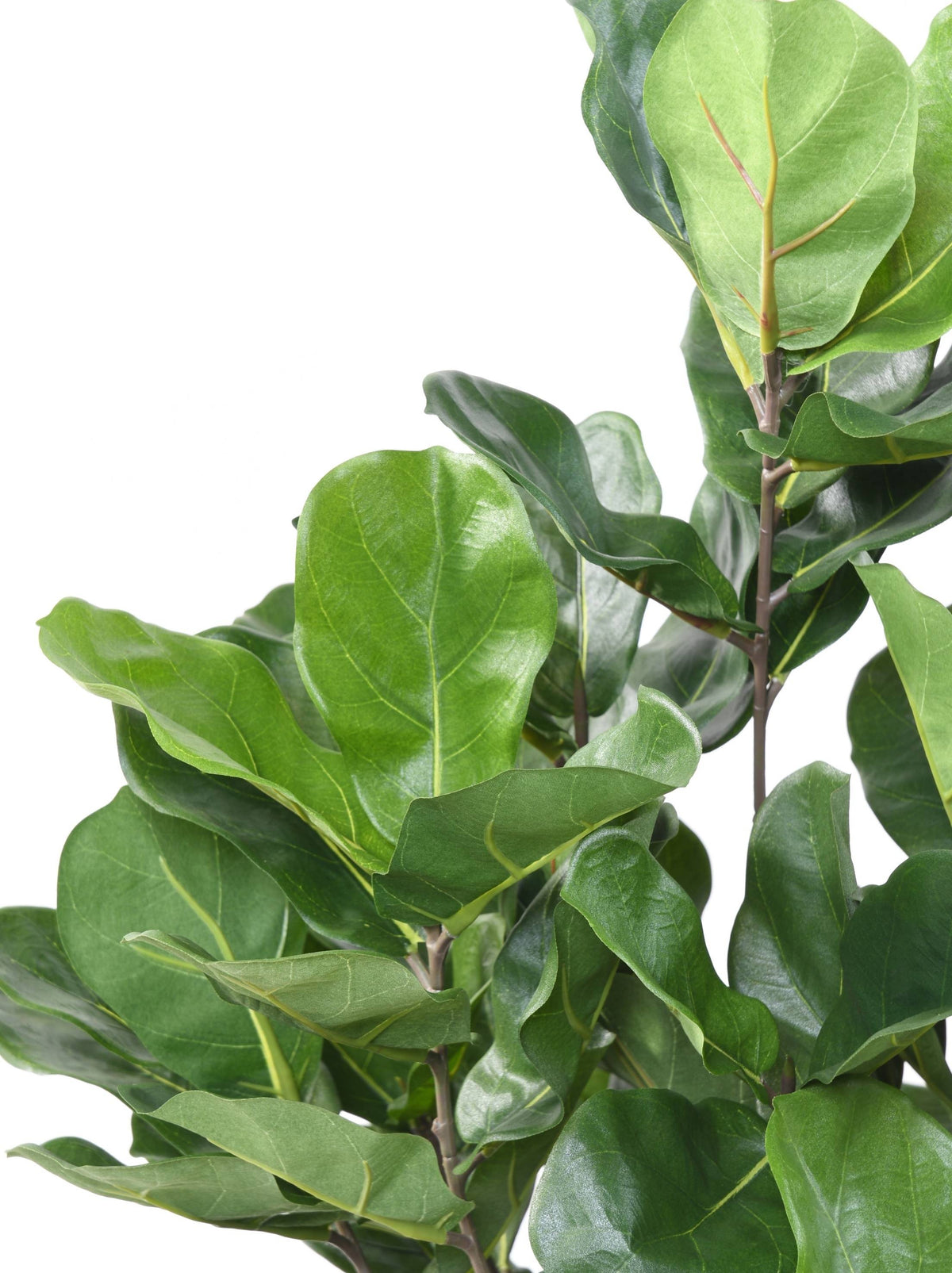 Ficus Artificiel Lyrata Buisson 105 cm | Belle Verdure
