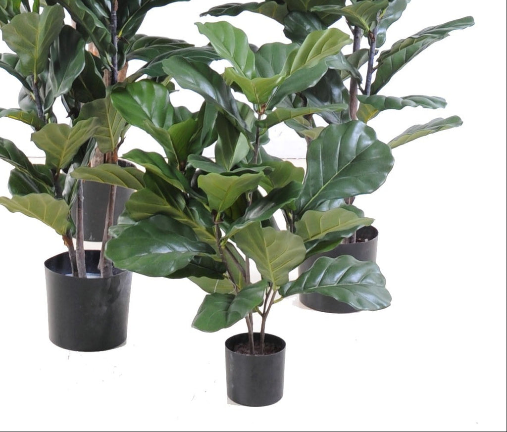 Ficus Artificiel Lyrata Prestige 90 cm | Belle Verdure