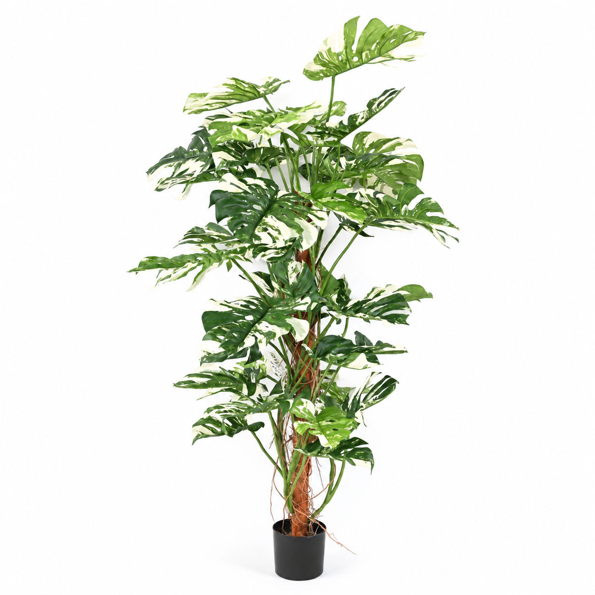 Philodendron Monstera Artificiel Panache 160 cm | Belle Verdure