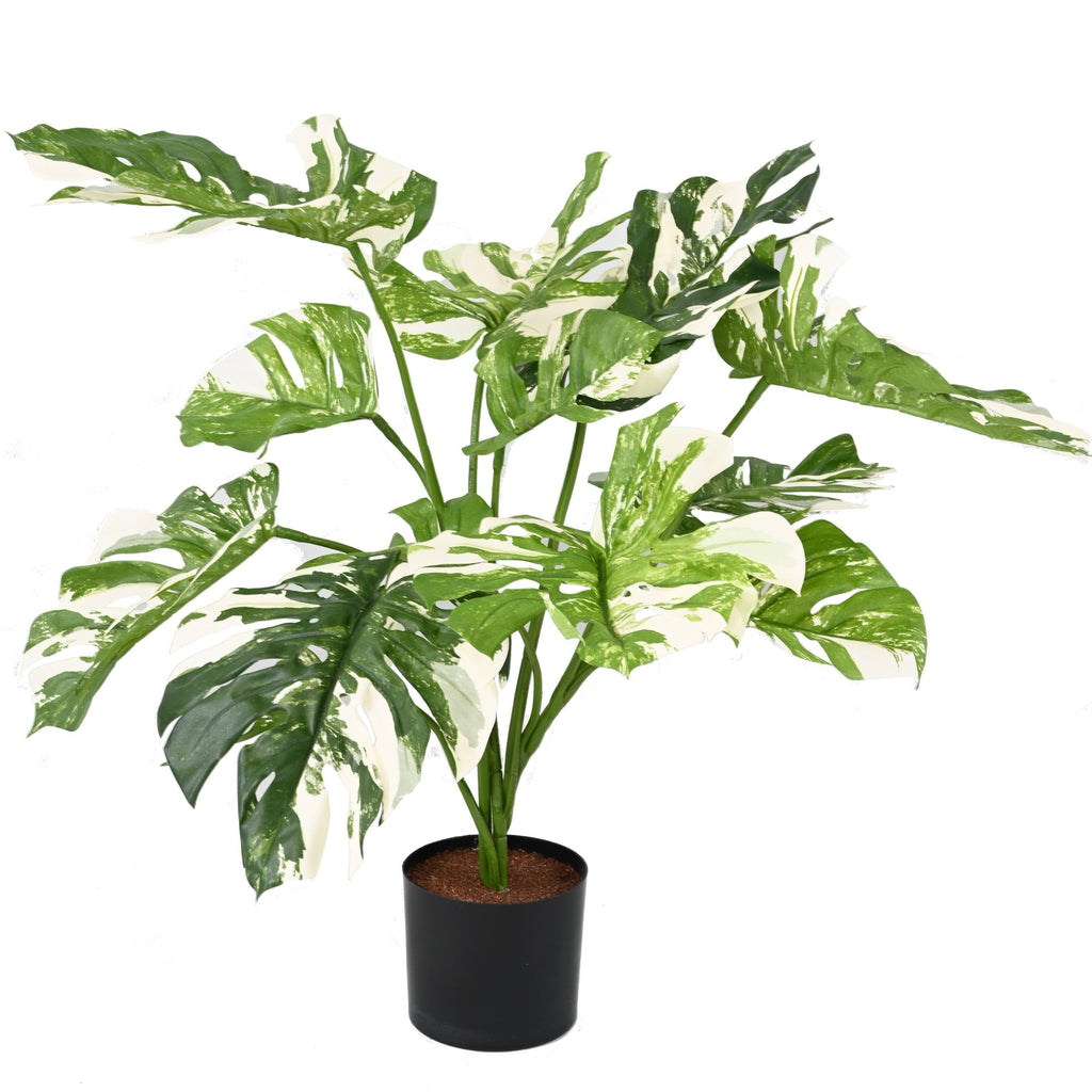 Philodendron Monstera Artificiel Essentiel Panaché 75 cm | Belle Verdure