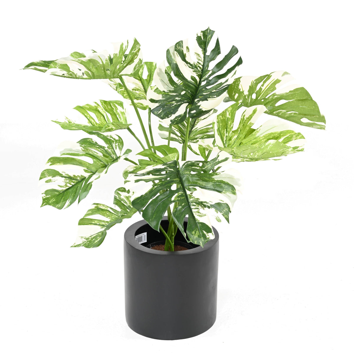 Philodendron Monstera Artificiel Essentiel Panaché 75 cm | Belle Verdure