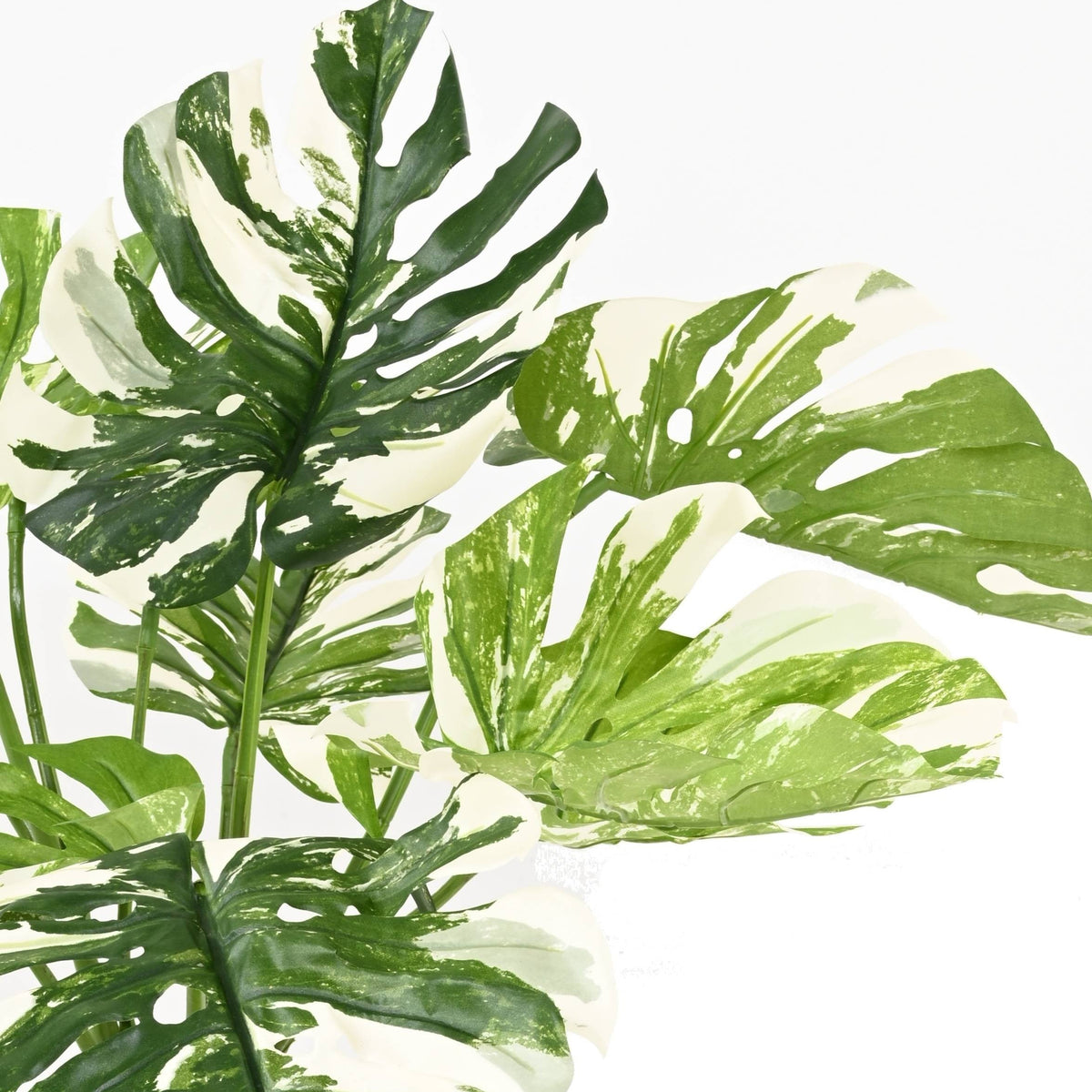 Philodendron Monstera Artificiel Essentiel Panaché 75 cm | Belle Verdure