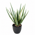 Plante artificielle Aloé Vert 48 cm | Belle Verdure