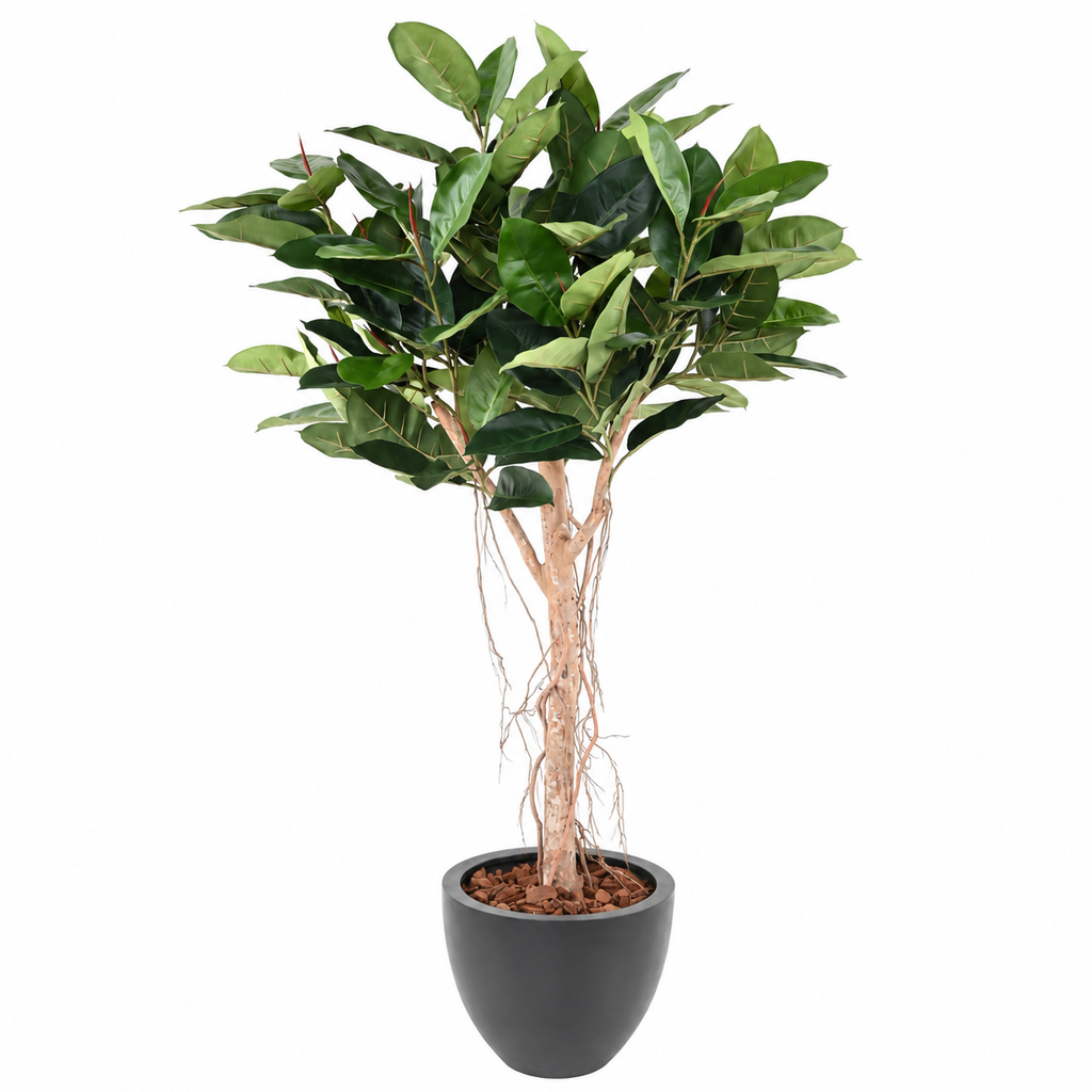Ficus Artificiel Elastica Tête 160 cm | Belle Verdure