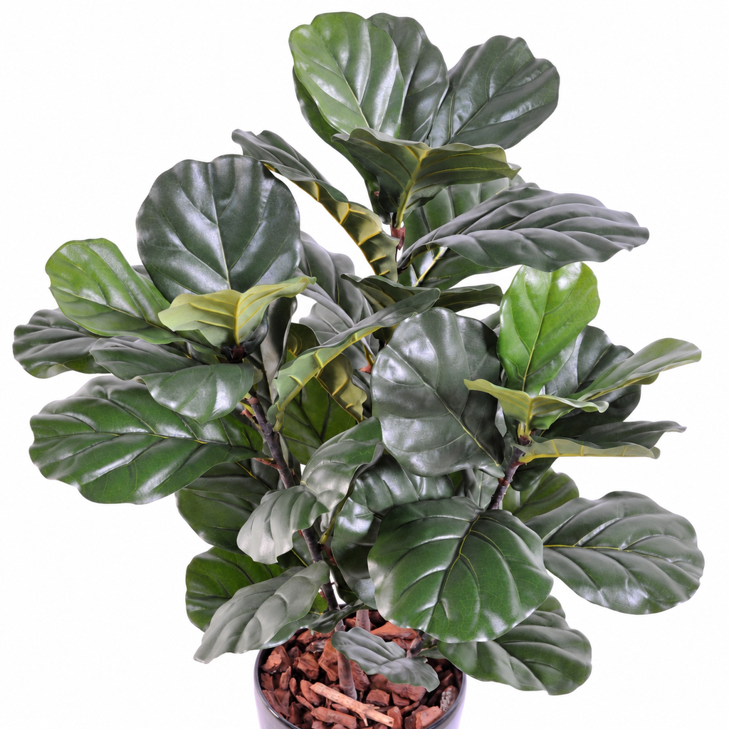 Ficus Artificiel Lyrata Prestige 90 cm | Belle Verdure