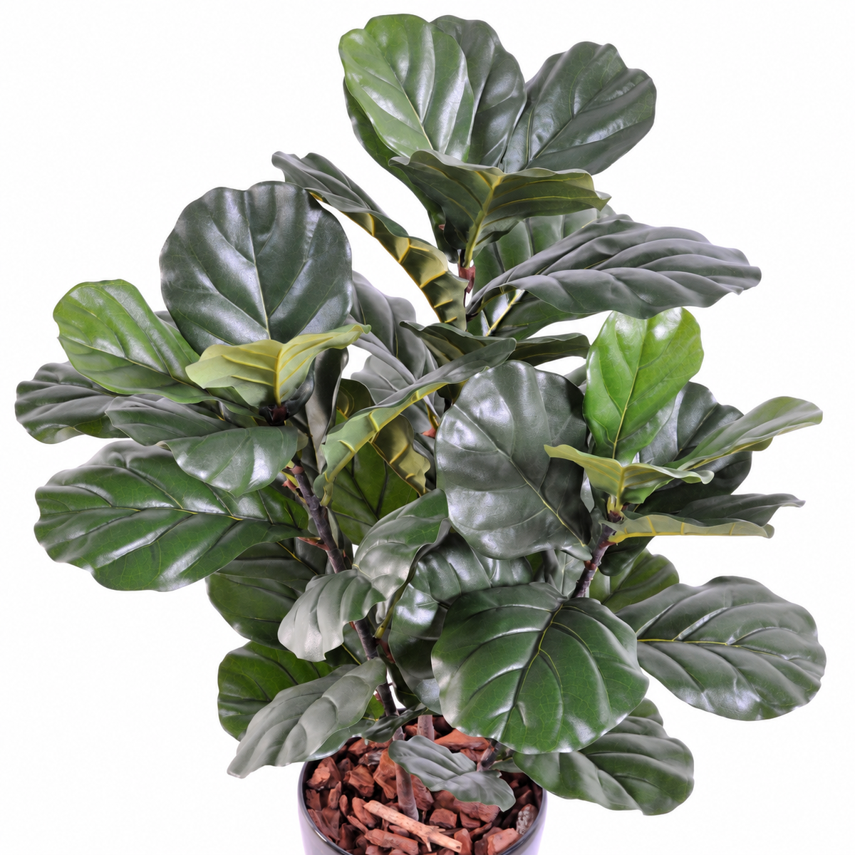 Ficus Artificiel Lyrata Prestige 90 cm | Belle Verdure