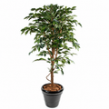 Ficus Artificiel Authentique 150 cm | Belle Verdure