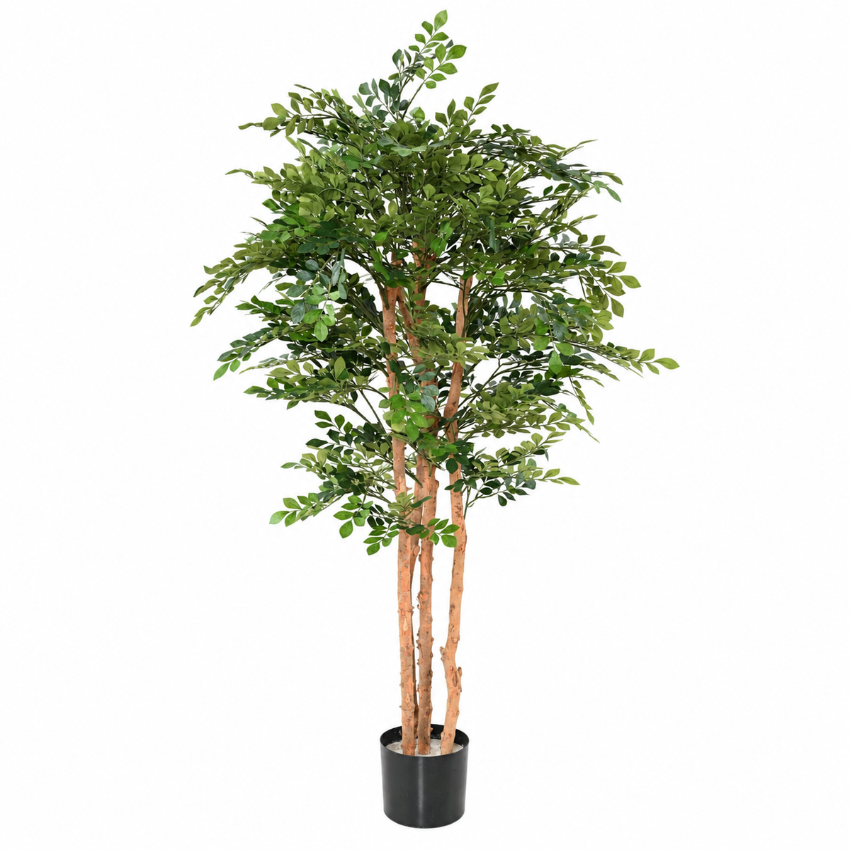 Acacia Artificiel Signature 170 cm | Belle Verdure