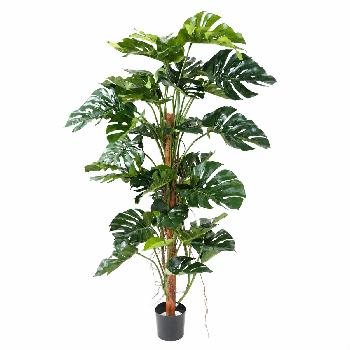 Philodendron Monstera Artificiel 160 cm | Belle Verdure