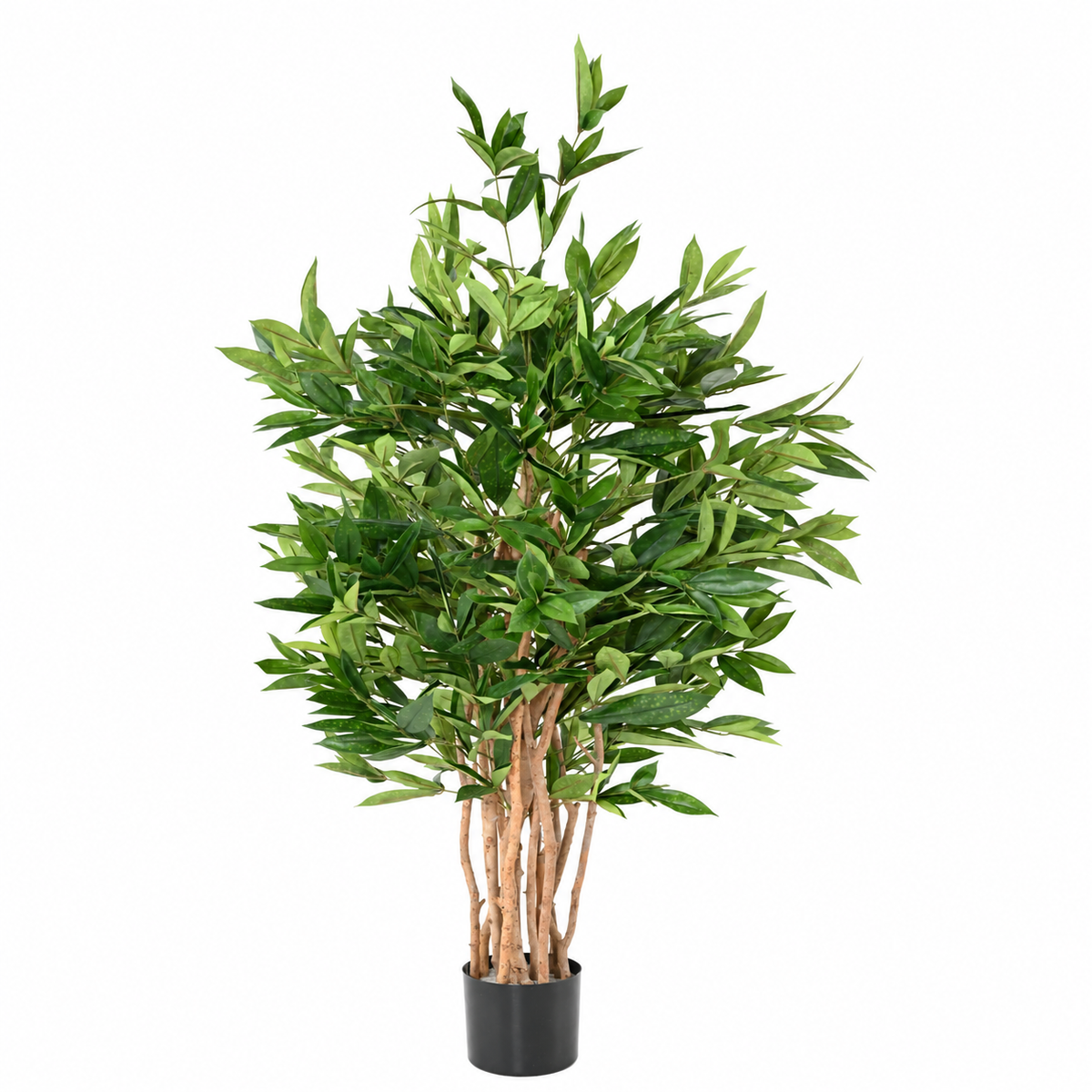 Dracaena Surculosa Artificiel 155 cm | Belle Verdure