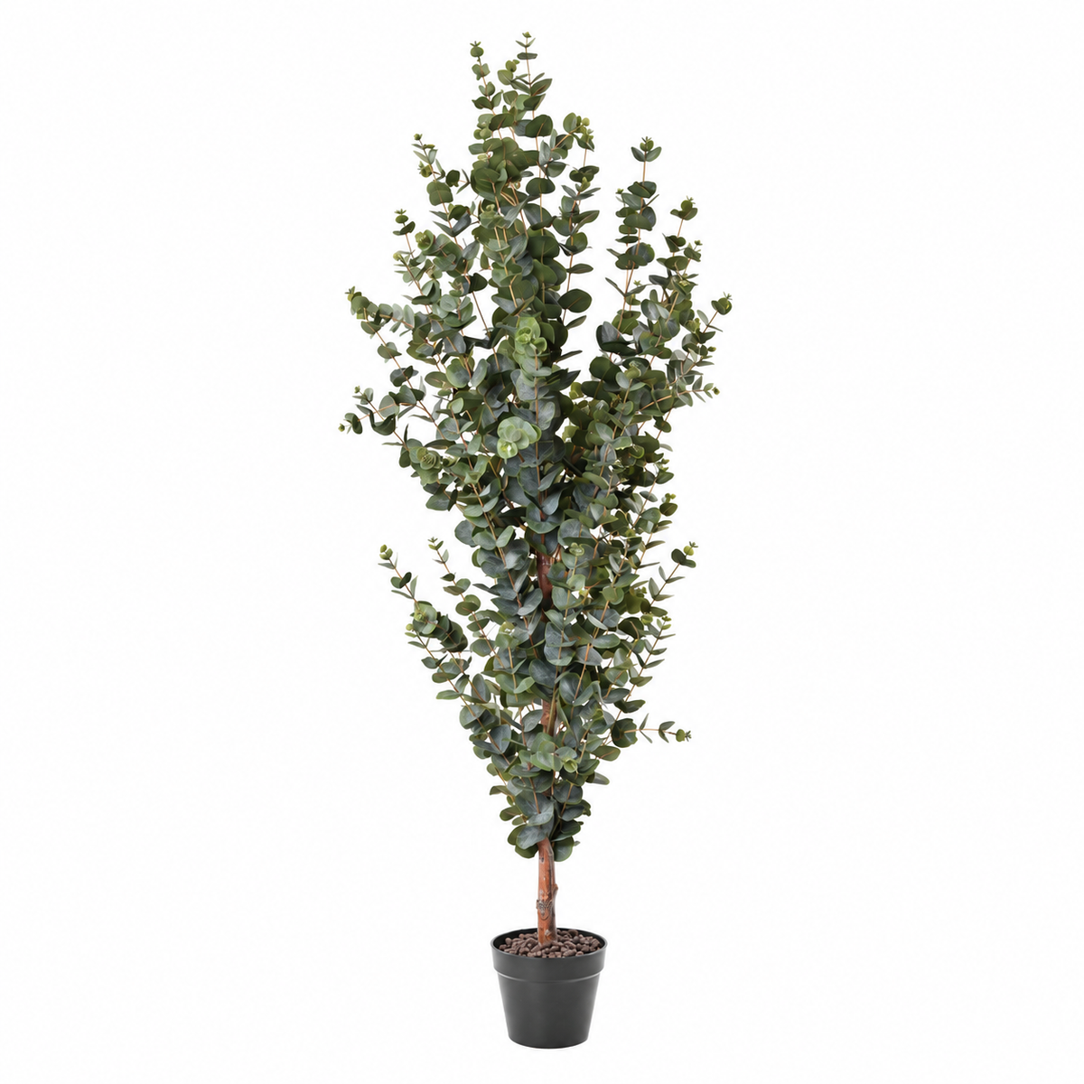 Eucalyptus Artificiel Provence 155 cm | Belle Verdure
