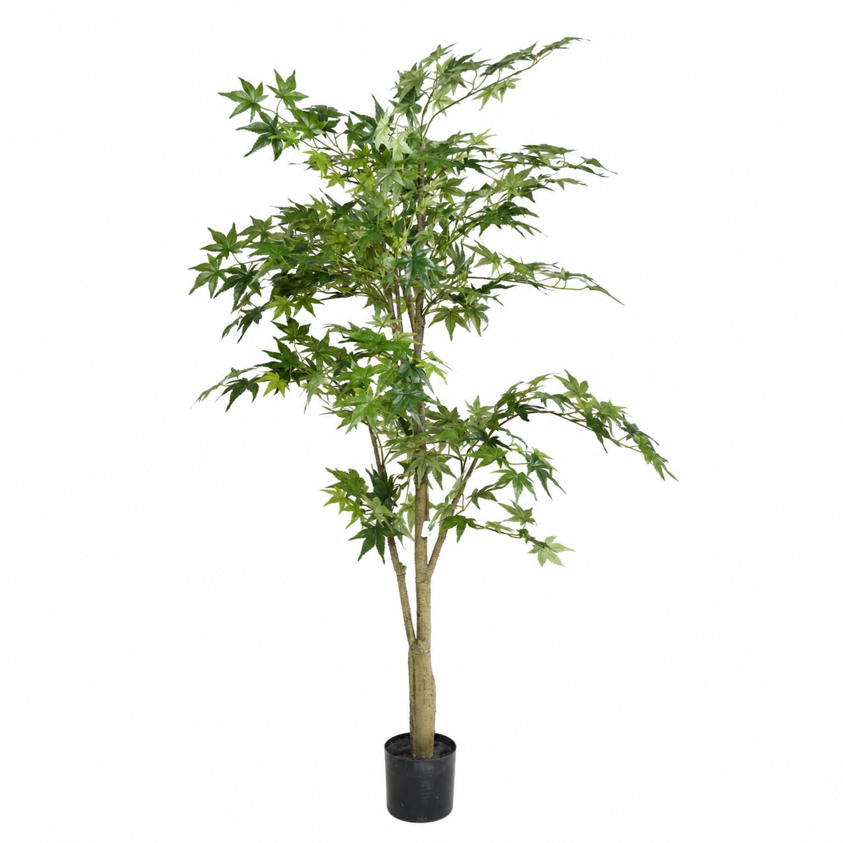 Aralia Artificiel Signature Vert 150 cm | Belle Verdure