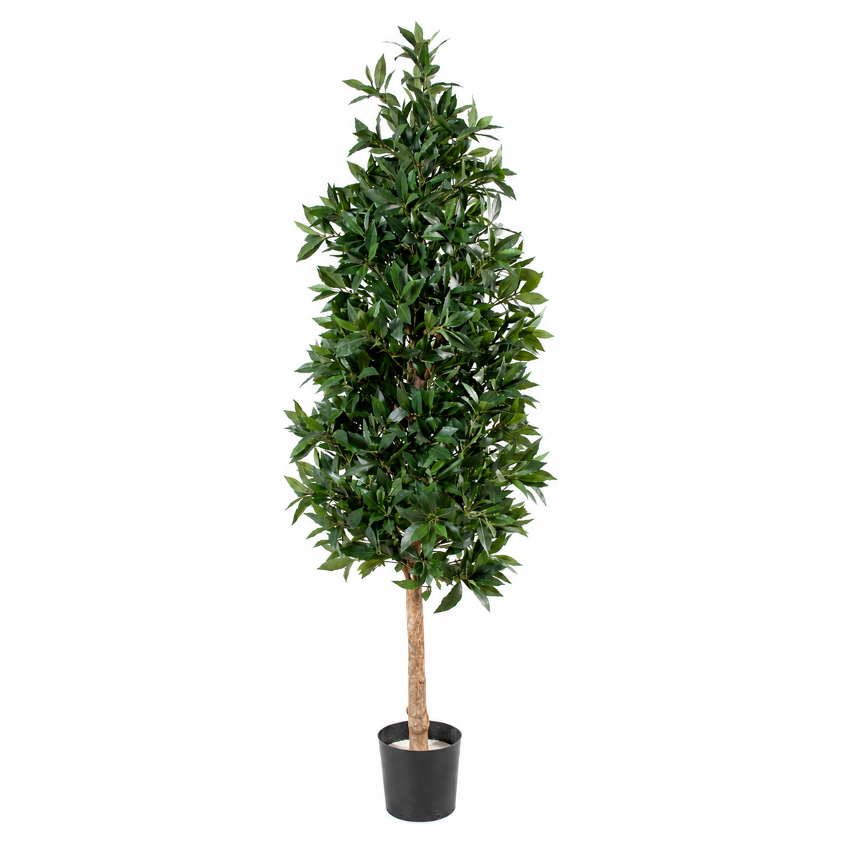 Laurier Artificiel Deluxe 180 cm | Belle Verdure