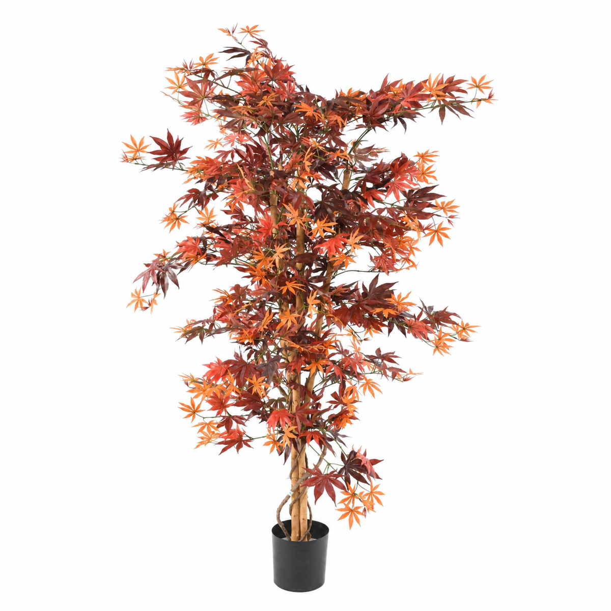 Aralia Artificiel Élégance Automne 150 cm | Belle Verdure