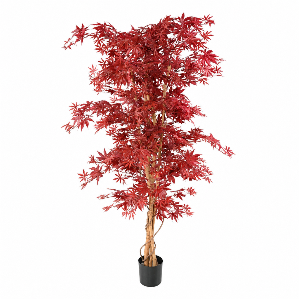 Aralia Artificiel Élégance Rouge 190 cm | Belle Verdure