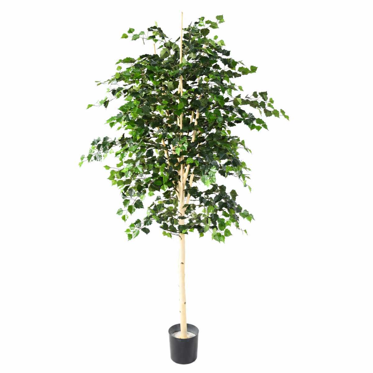 Bouleau Artificiel Signature 210 cm | Belle Verdure
