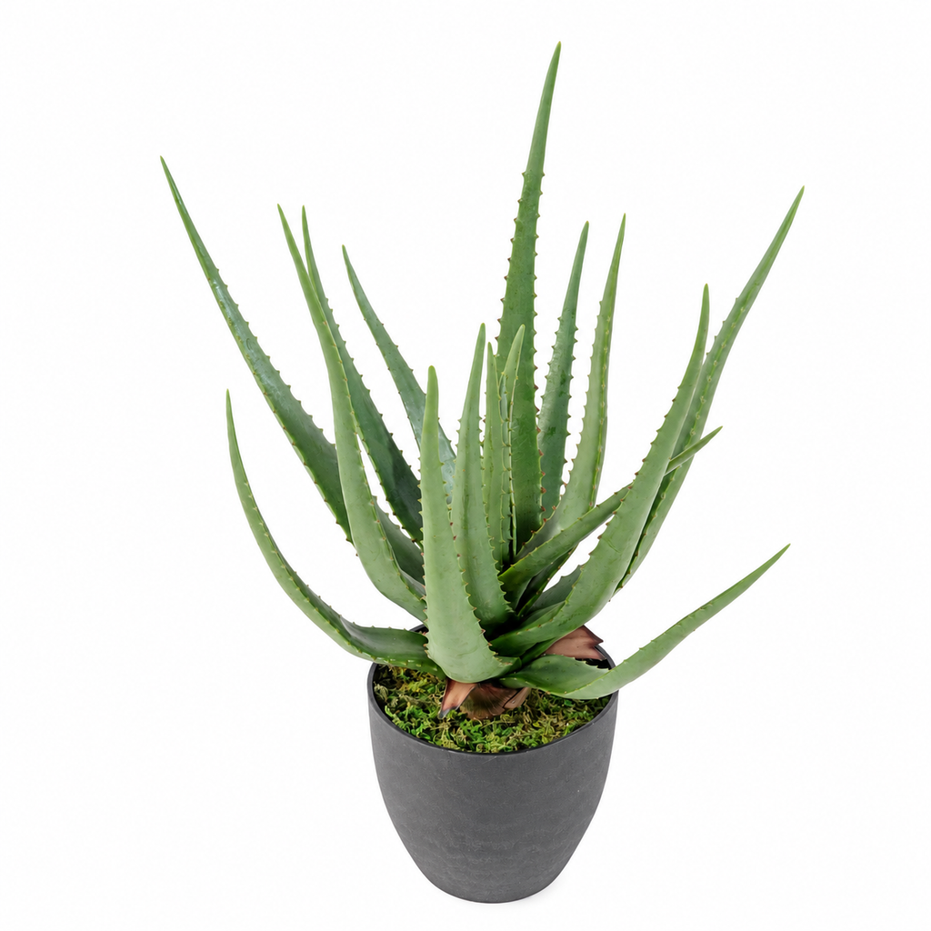 Plante artificielle Aloé Vert 60 cm | Belle Verdure