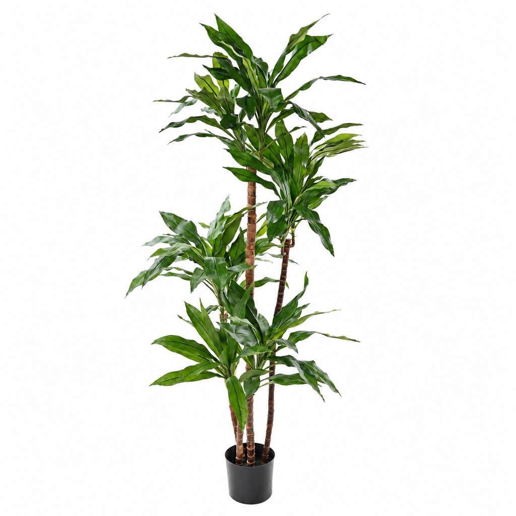 Dracaena Fragrans Artificiel Signature 145 cm | Belle Verdure