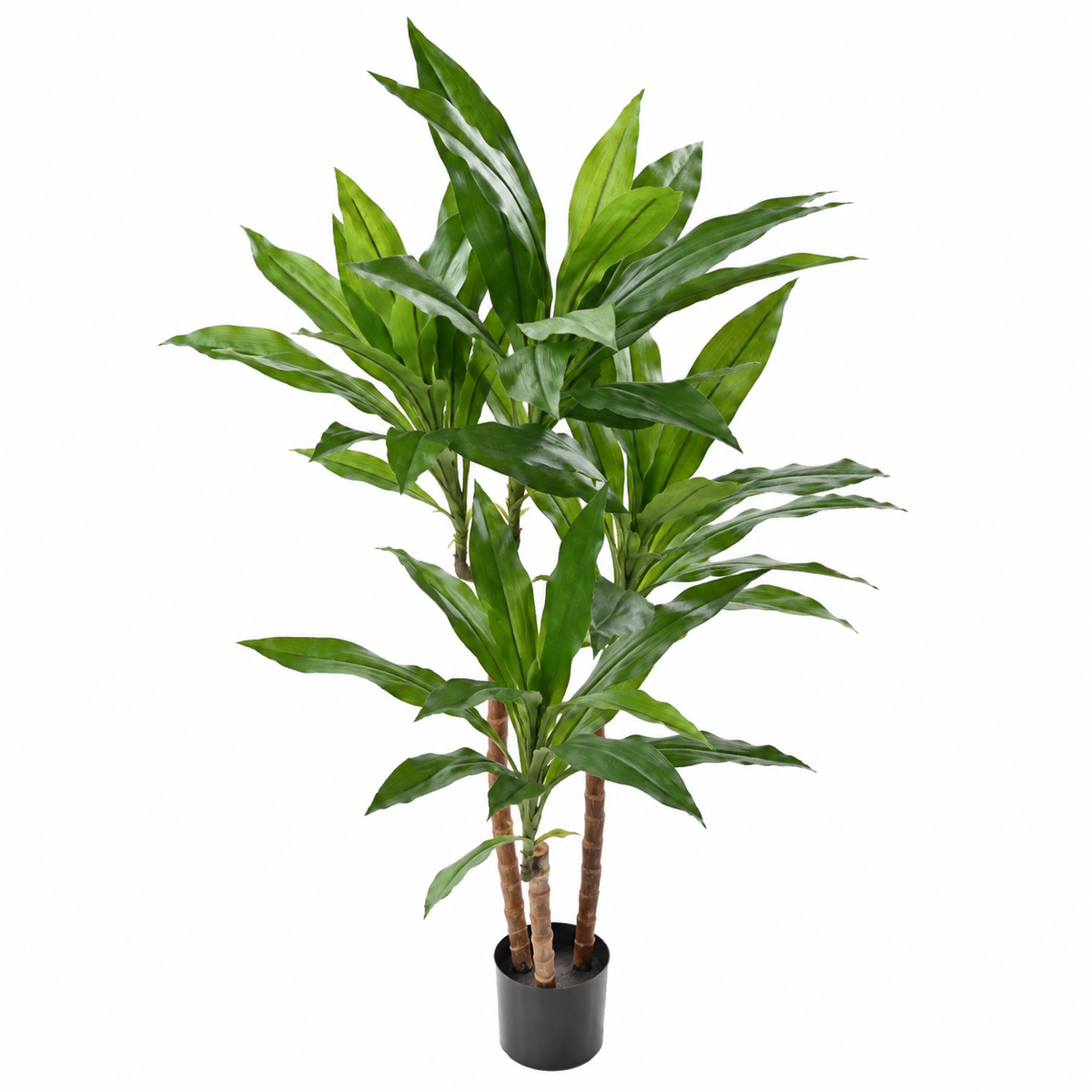 Dracaena Fragrans Artificiel Signature 95 cm | Belle Verdure
