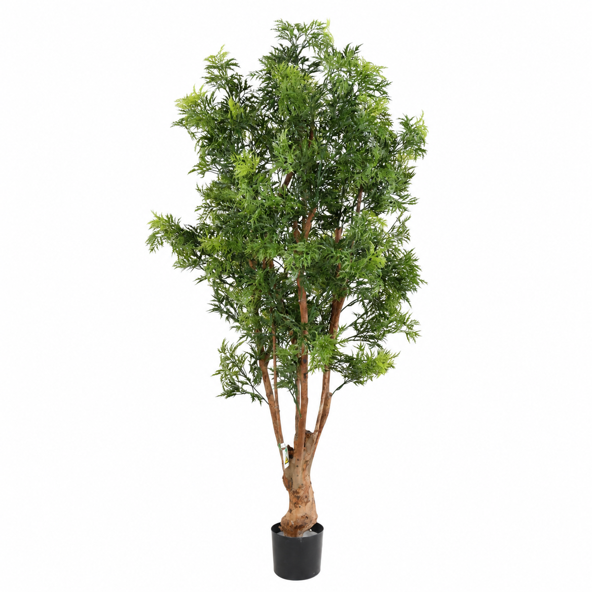 Aralia Artificiel Prestige Anti-UV 170 cm | Belle Verdure