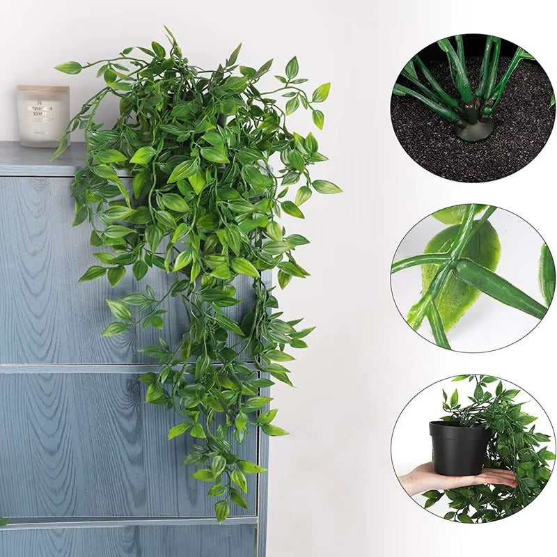 Plante Artificiels de Lierre