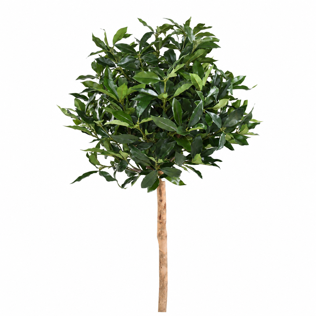 Laurier Artificiel Lusitanica sur Tige 140 cm | Belle Verdure