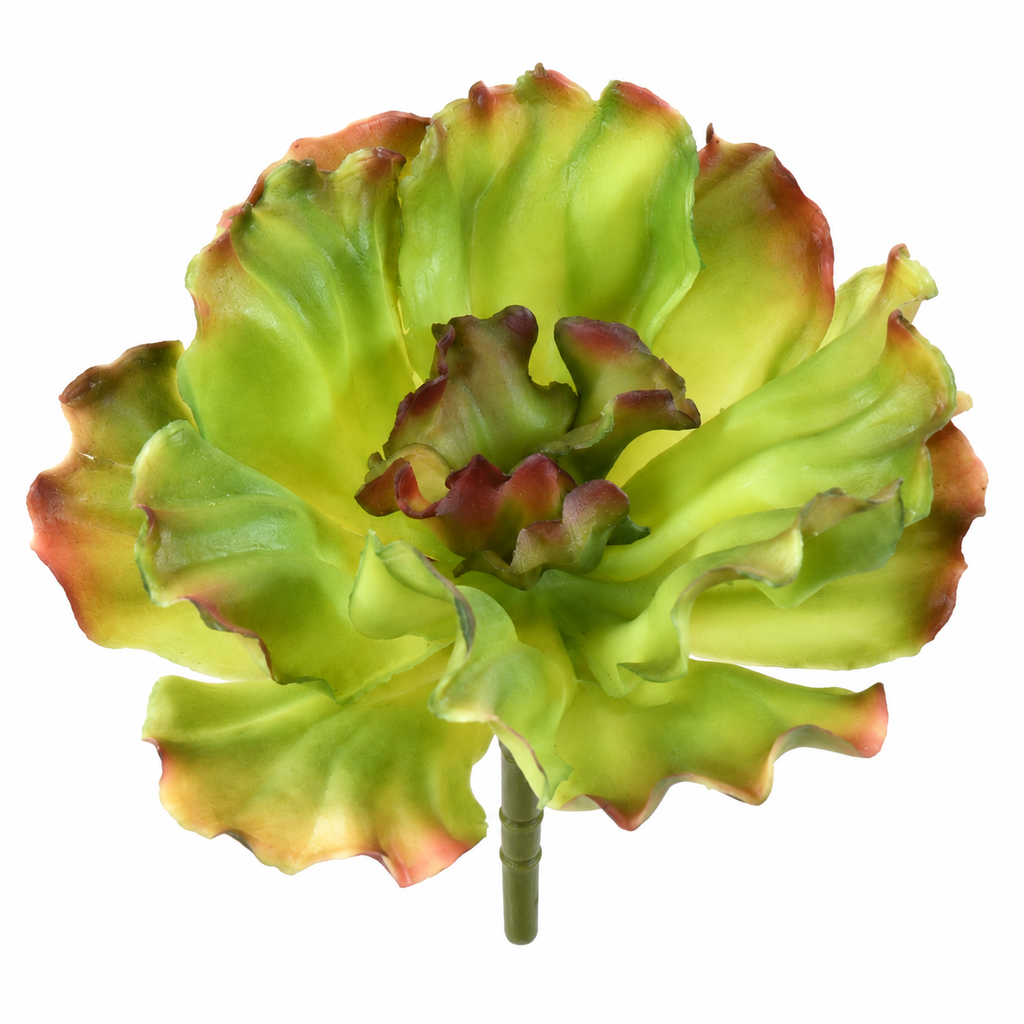 Plante artificielle Aloé Vert Nuancé 16 cm | Belle Verdure