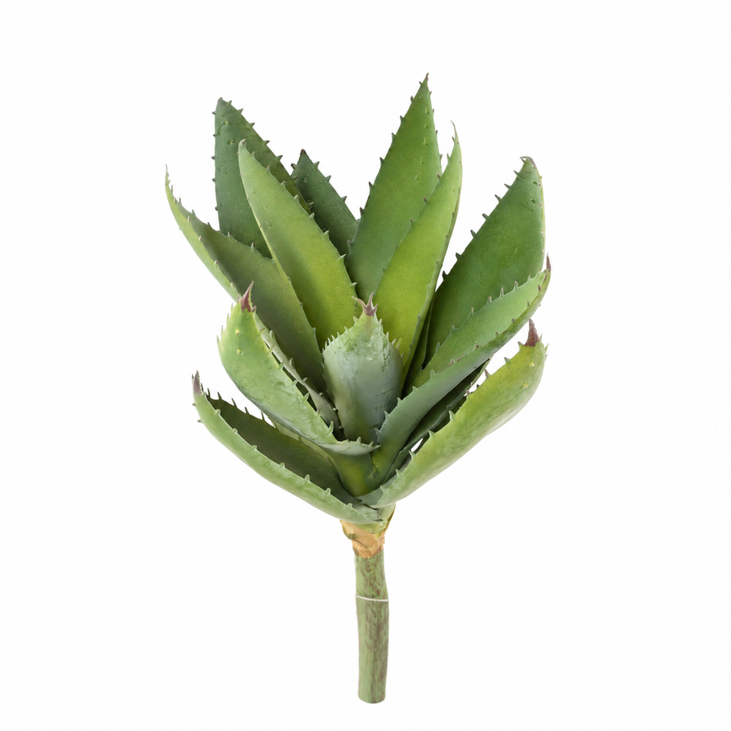 Plante artificielle Aloe Vera Vert 32 cm | Belle Verdure