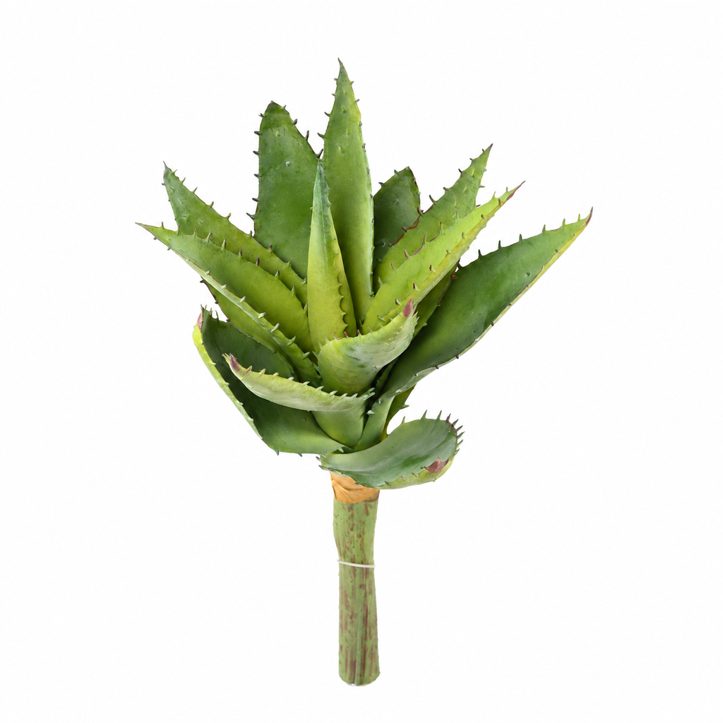Plante artificielle Aloe Vera Vert 26 cm | Belle Verdure