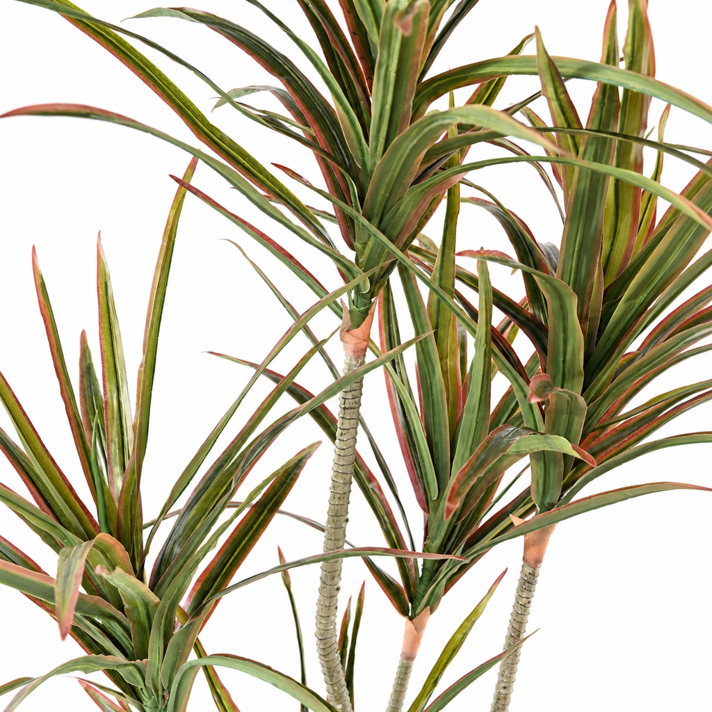 Dracaena Artificiel 190 cm | Belle Verdure