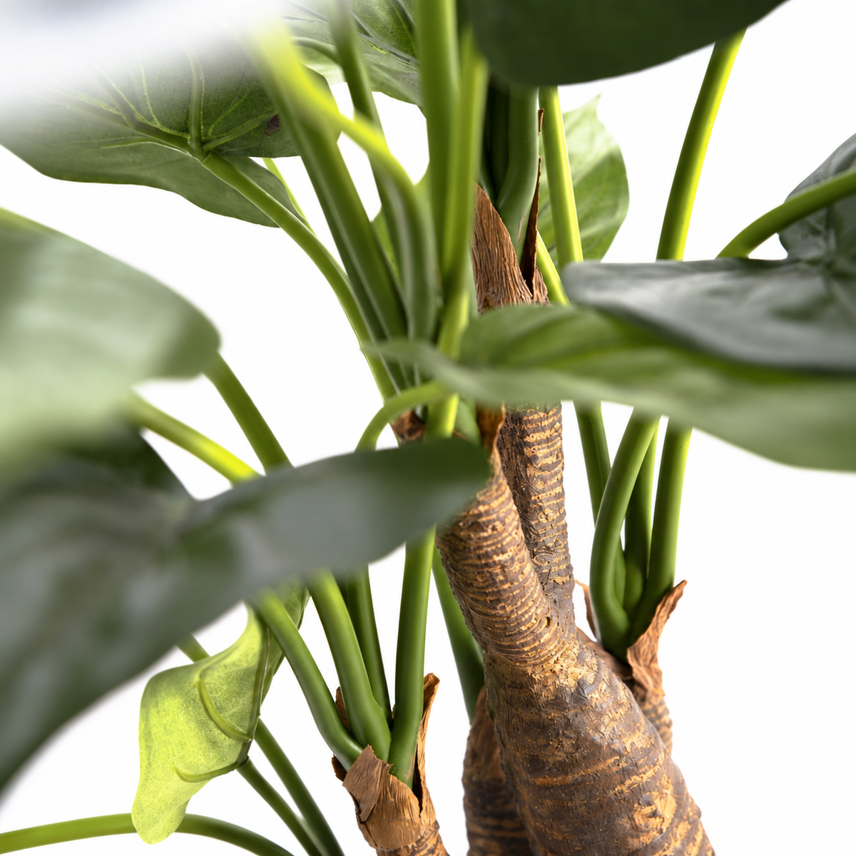 Alocasia Cucullata Artificiel 110 cm | Belle Verdure
