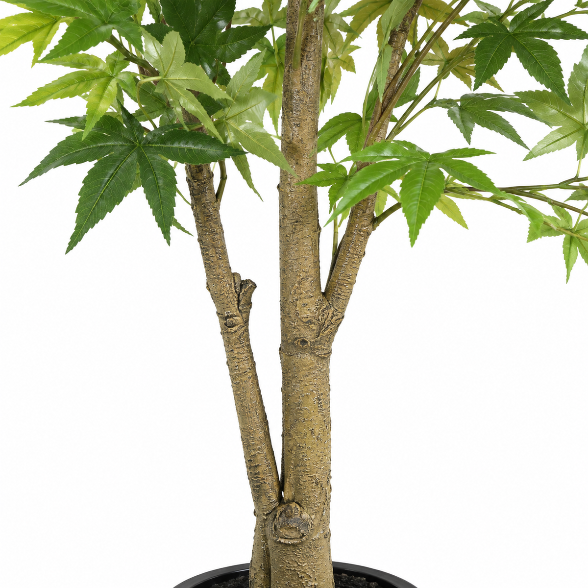 Aralia Artificiel Signature Vert 150 cm | Belle Verdure