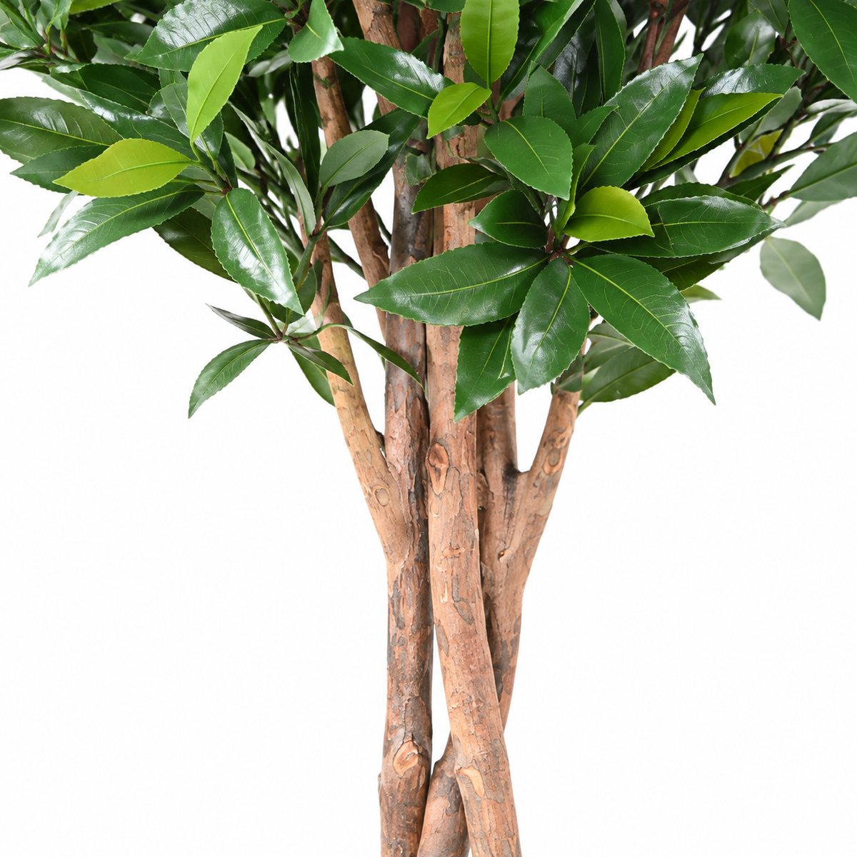 Laurier Nobilis Artificiel Boule sur Tige Anti-UV 145 cm | Belle Verdure