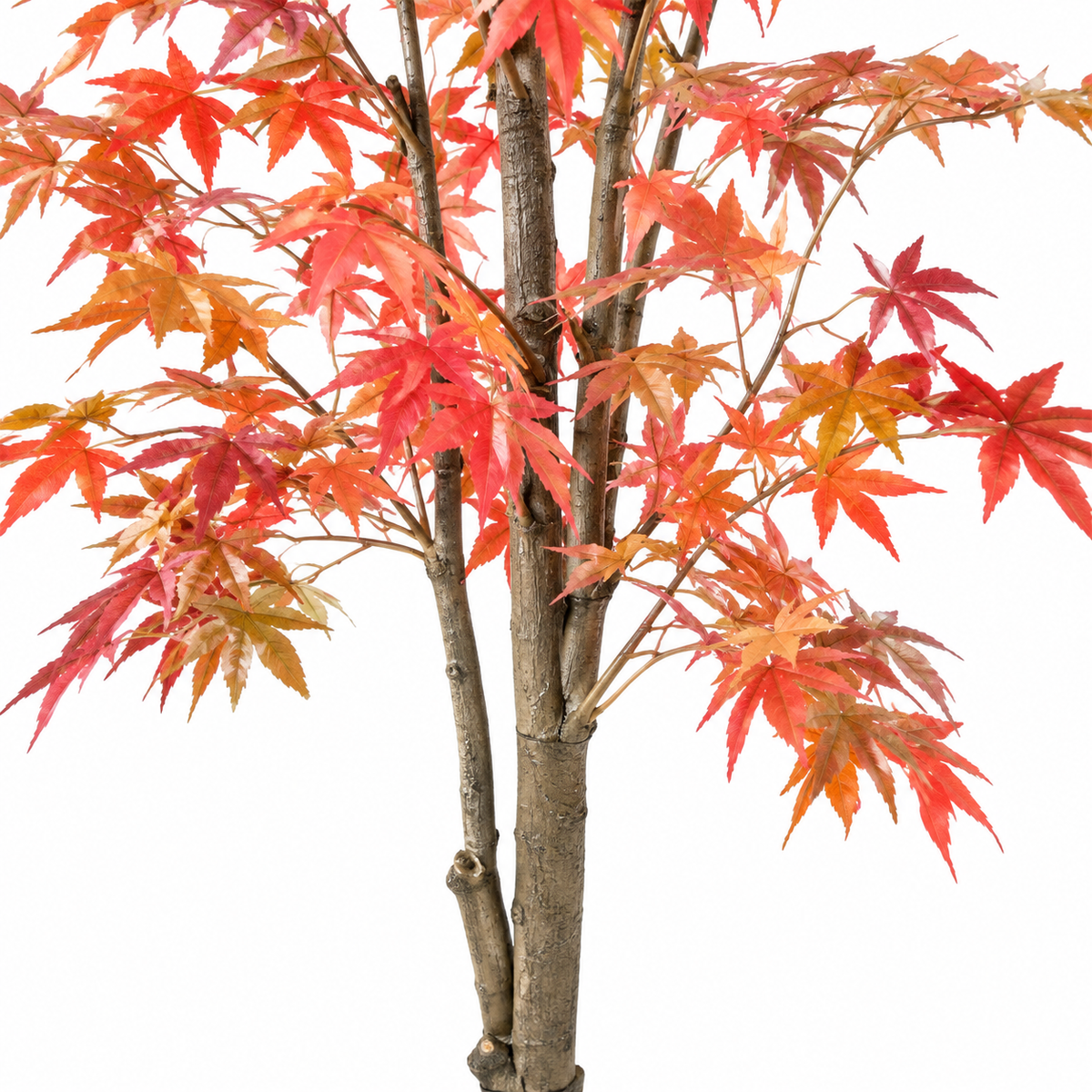 Aralia Artificiel Signature Automne 175 cm | Belle Verdure
