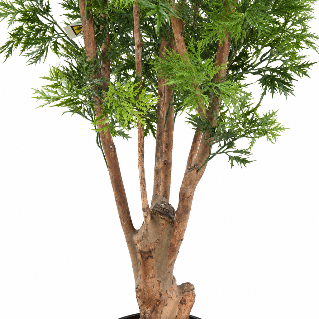 Aralia Artificiel Prestige Anti-UV 170 cm | Belle Verdure