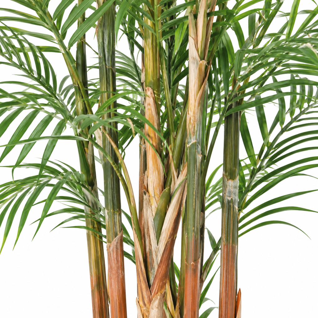Palmier Artificiel Areca Dif 210 cm | Belle Verdure